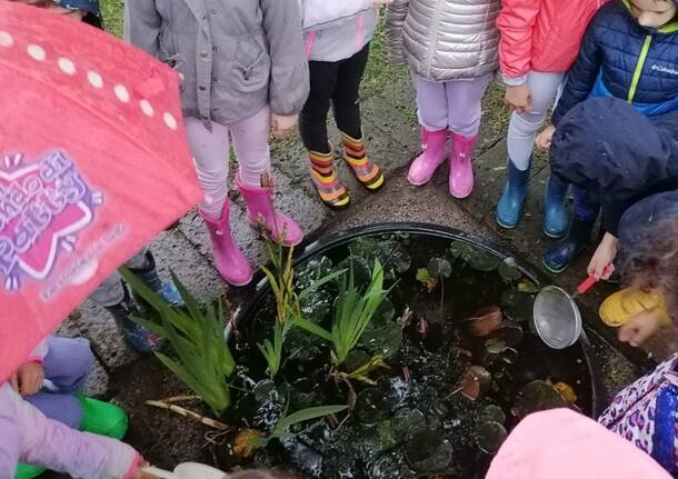 A caccia di biodiversità nel giardino della scuola primaria di Morosolo