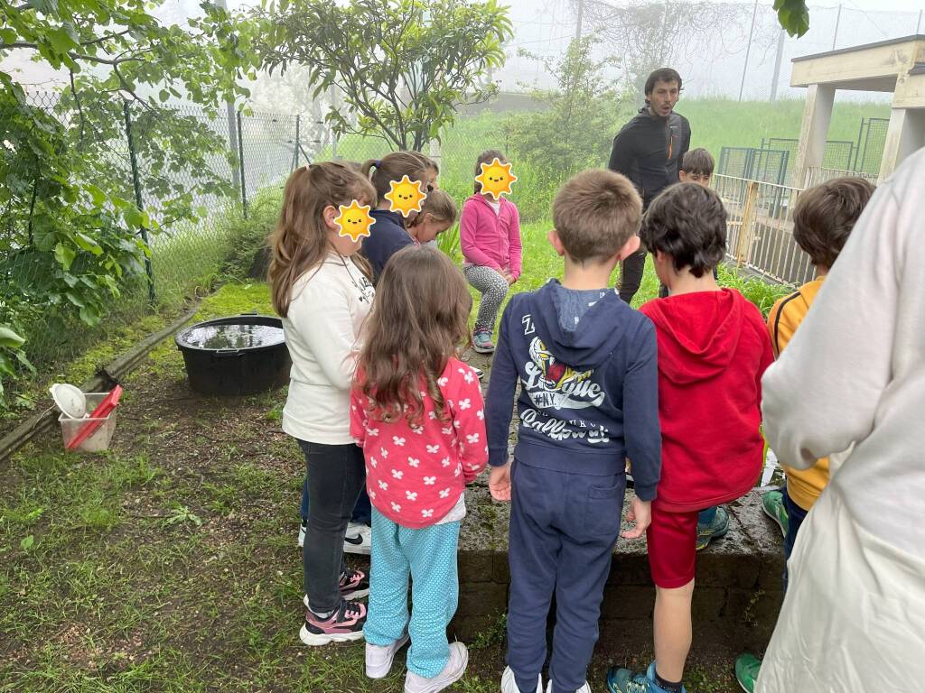 bioblitz 2024 nel giardino della primaria manzoni di morosolo