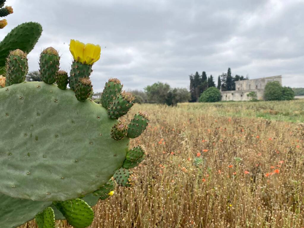 Cammino del Salento: da Lecce a Sternatia