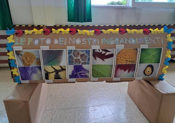 Mosaico e mostra per la scuola Primaria di Caravate