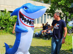 Finestagione: Basketball Albizzate Sharks