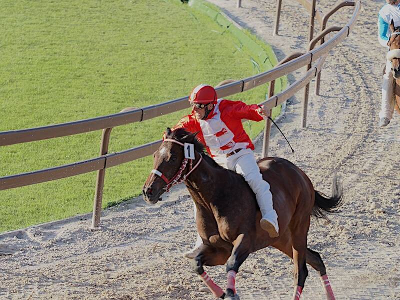 Finale palio Roberto Gernetti