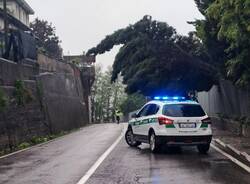 Generico 13 May 2024