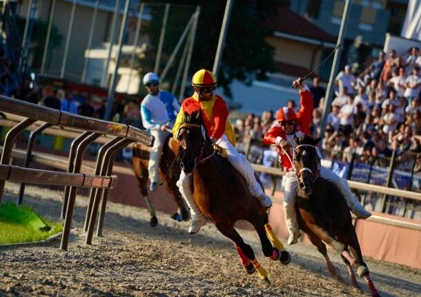 Il Palio 2024 è giallorosso - Foto Daniele Zaffaroni