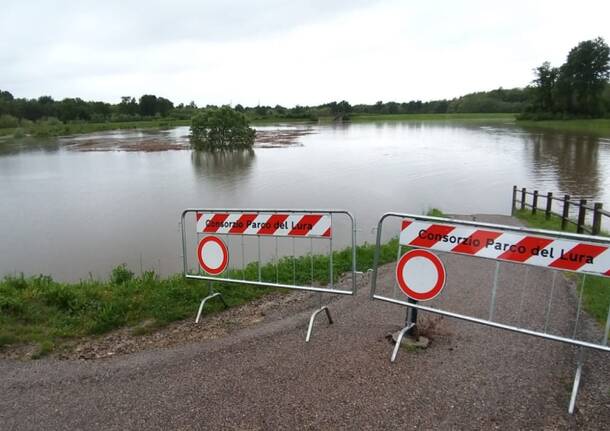 Le vasche di laminazione di Lomazzo piene d'acqua