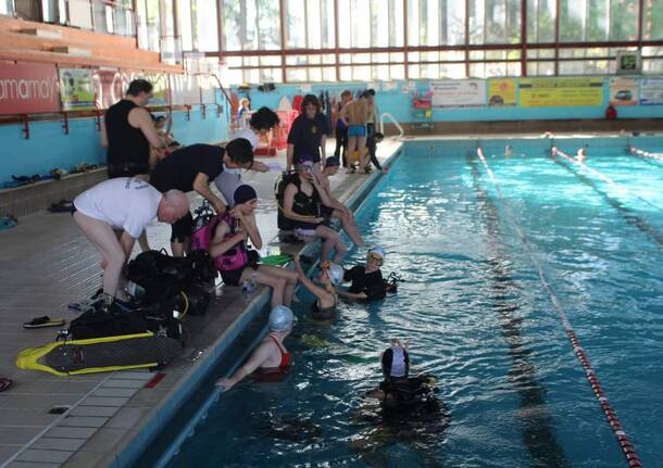 liceo gallarate piscina