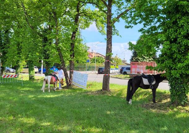 Pony, aquiloni e mongolfiere: Festa dell'Aria da "sold out" a Cantalupo