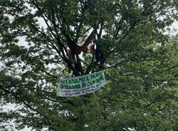 protesta alberi madonna in campagna busto arsizio