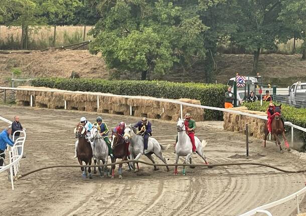 Prove al Palio di Fucecchio 2024