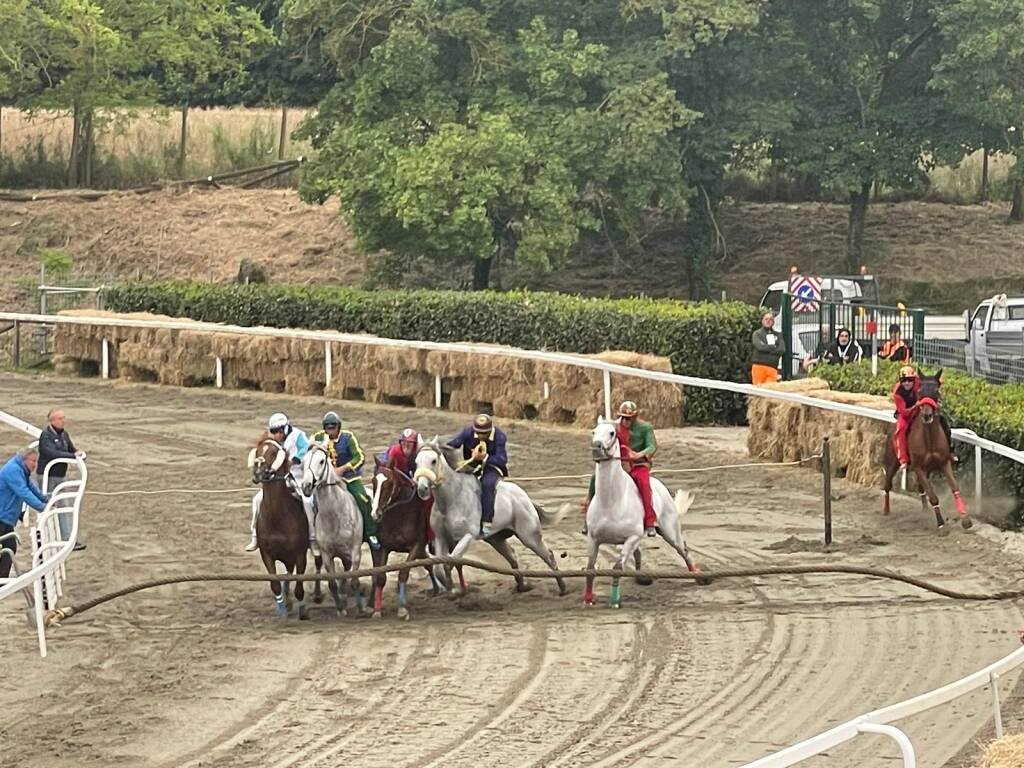 Prove al Palio di Fucecchio 2024