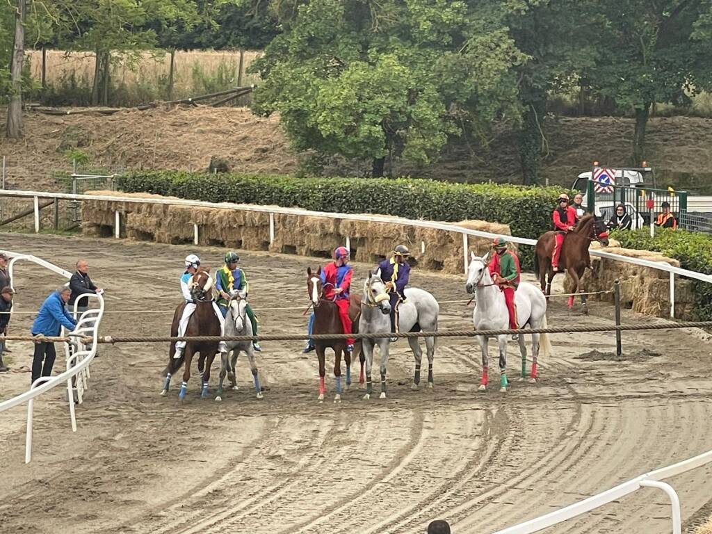 Prove al Palio di Fucecchio 2024