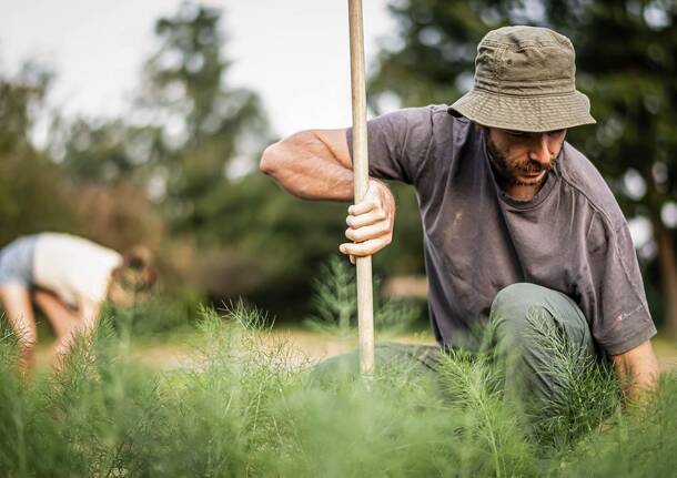 Quale agricolurra? Evento DES Va – Distretto di Economia Solidale di Varese