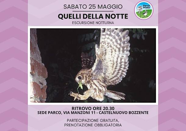 quelli della notte parco pineta