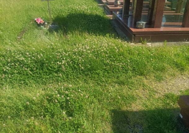 Verde pubblico nerviano cimitero sant'ilario