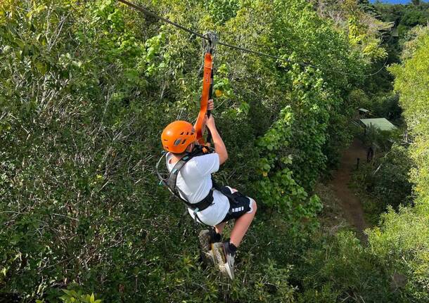 zipline