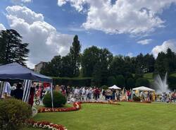 Alla Fiera del DES ai Giardini Estensi