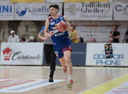 andrea calzavara basket