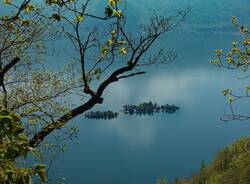 Brissago lago maggiore Foto di Andreas da Pixabay