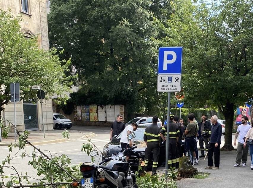 Caduta albero Gallarate 