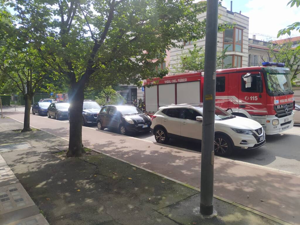 Caduta albero Gallarate 