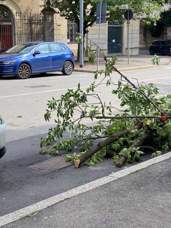 Caduta albero Gallarate 
