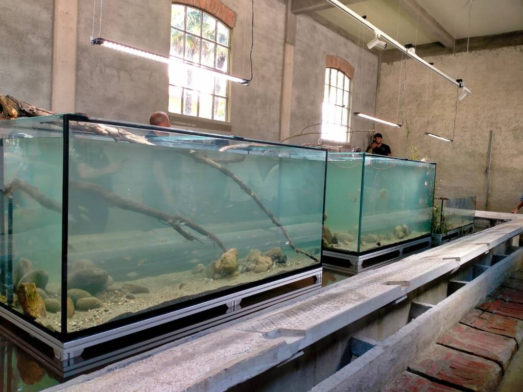 Cazzago Brabbia inaugurazione lavatoio 2024