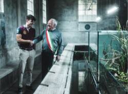 Christian Tapella - acquari Inarzo