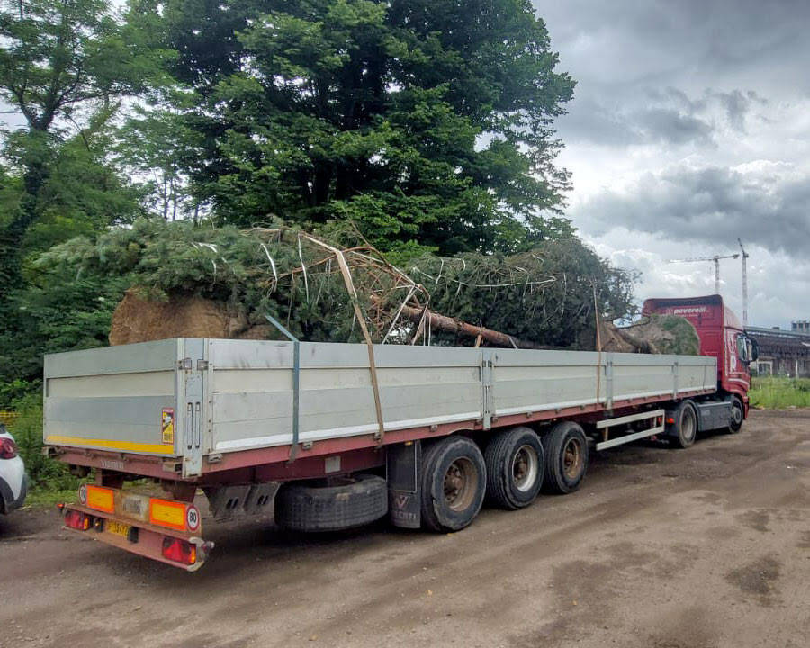 Ex-Isotta Fraschini: al via le ripiantumazioni su via Milano