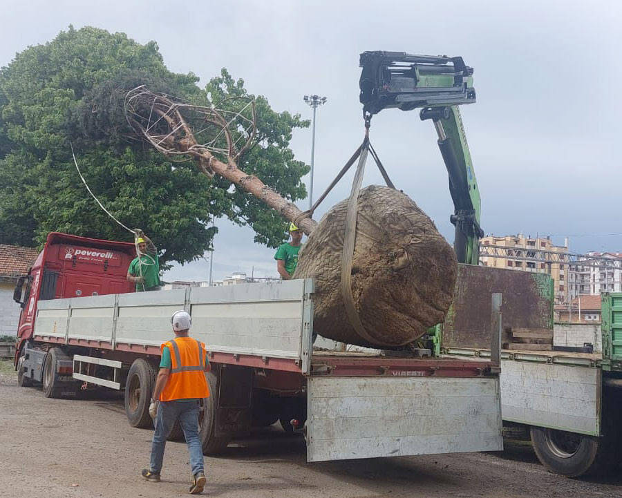 Ex-Isotta Fraschini: al via le ripiantumazioni su via Milano