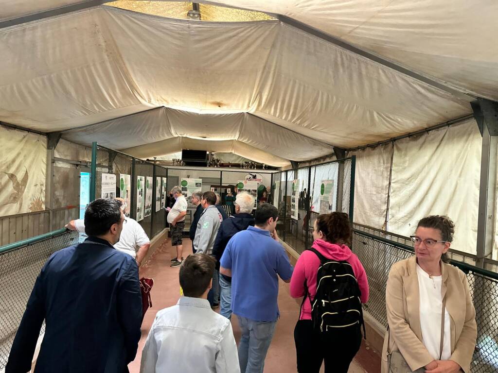 Festeggiamenti al parco Ex-Ila
