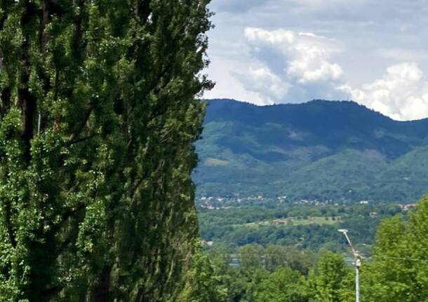 Inaugurata la sedia gigante di Roda nel Parco dei Pioppi