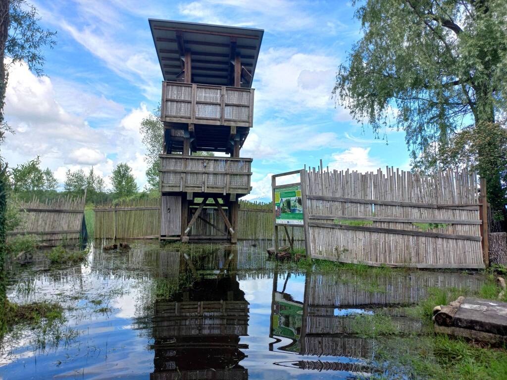 La Palude Brabbia allagata, fascino senza tempo