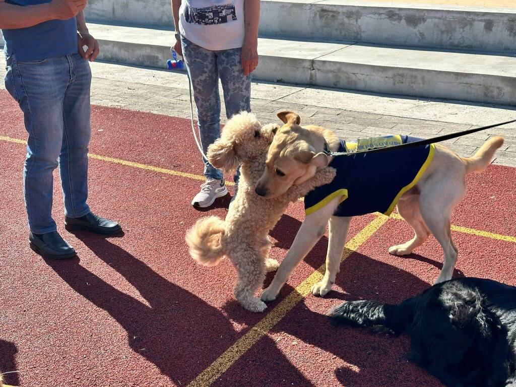 Seconda edizione evento "Qua la zampa!"