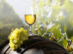 calice di vino
