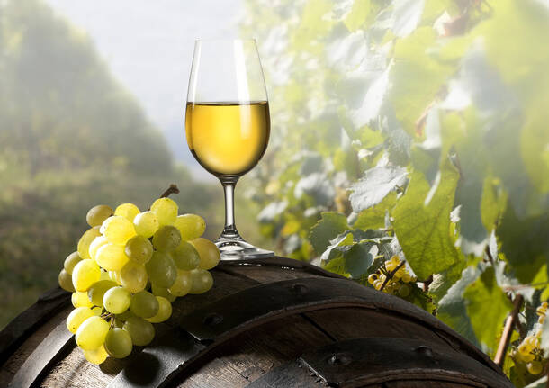 calice di vino