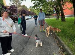 Vedano Olona - Una panchina gialla per i diritti umani