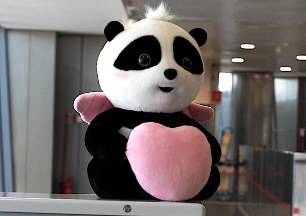 Air China Milano Malpensa-Chengdu