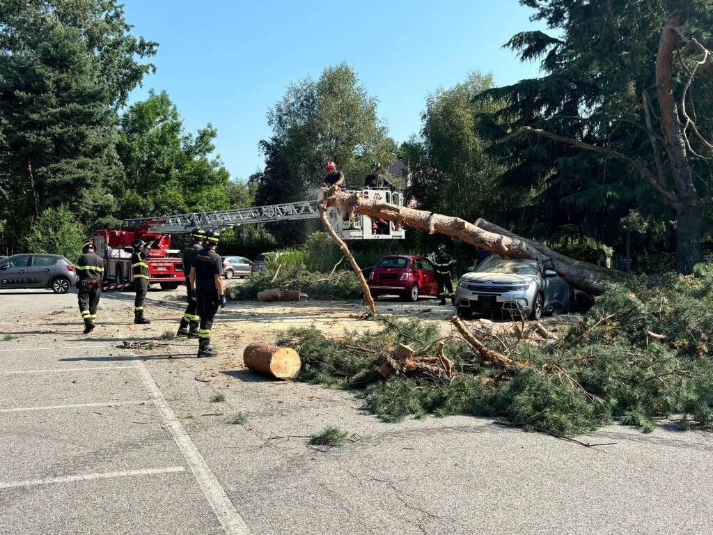 albero auto parcheggio ats insubria varese