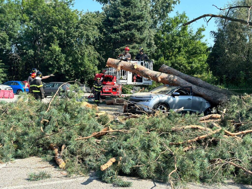 albero auto parcheggio ats insubria varese