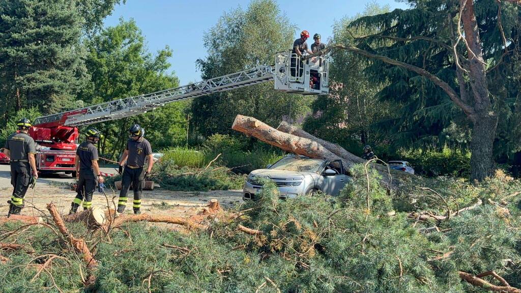 albero auto parcheggio ats insubria varese