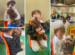 animali scuola tommaseo
