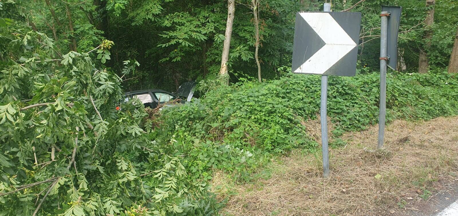 Con l'auto nel bosco a Brinzio