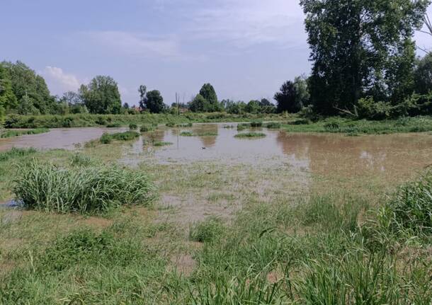 Fiume Olona dopo i temporali del 7 luglio 