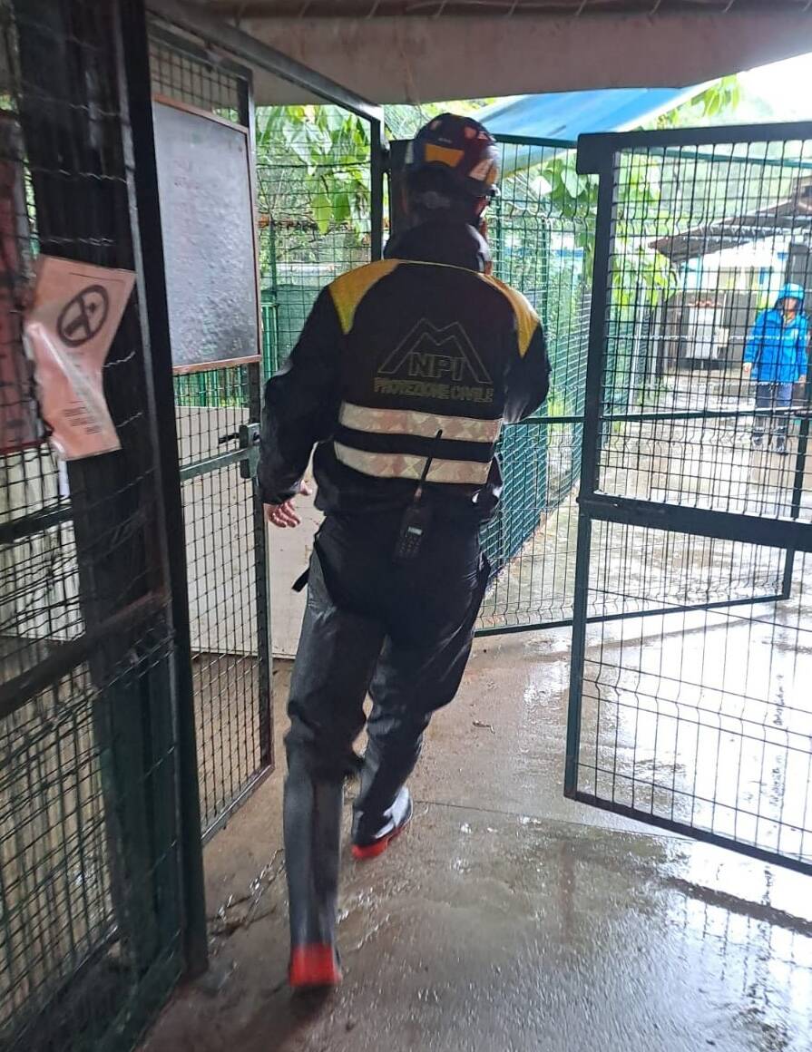 Forti piogge a Varese, canile di nuovo sott'acqua