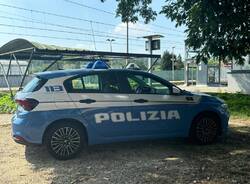 Polfer