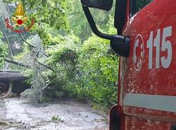 Tempesta tropicale a Varese: le foto del 12 luglio
