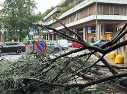 Tempesta tropicale a Varese: le foto del 12 luglio