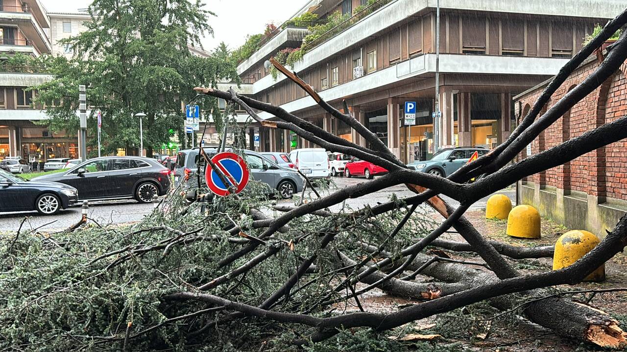 Tempesta tropicale a Varese: le foto del 12 luglio
