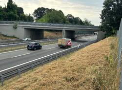 Autostrada a26 animali selvatici 