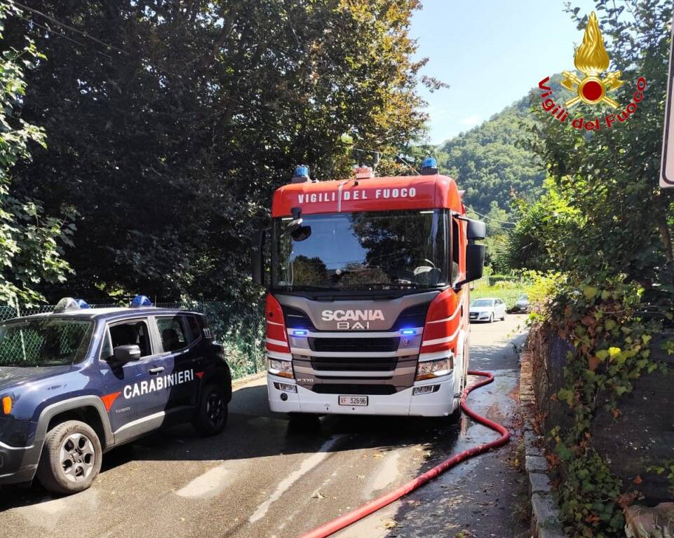 Bisuschio incendio